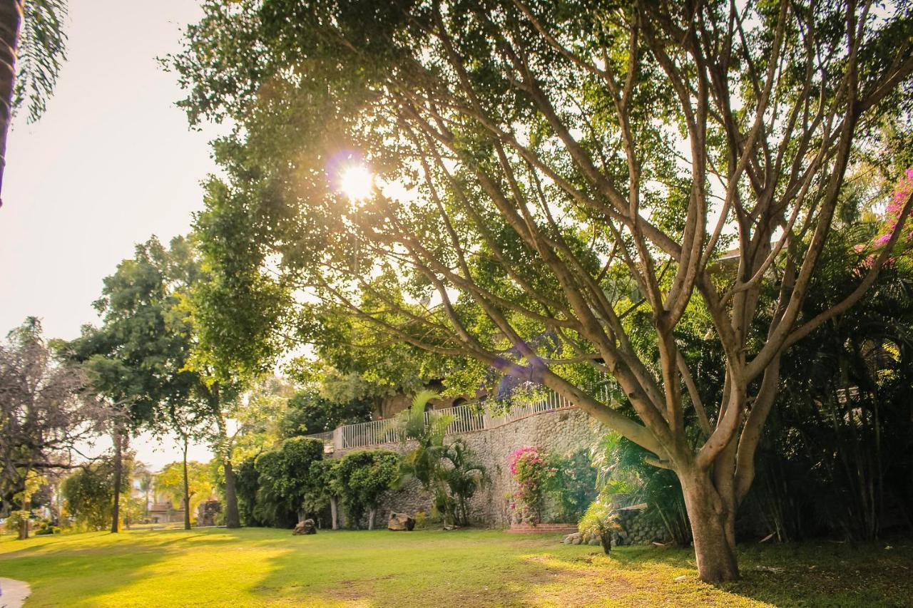 Jardin De La Abundancia - Holistic Resort For Events, Weddings & Retreats Tepoztlan Ngoại thất bức ảnh